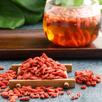 Le meilleur goji de goji séché organique à vendre